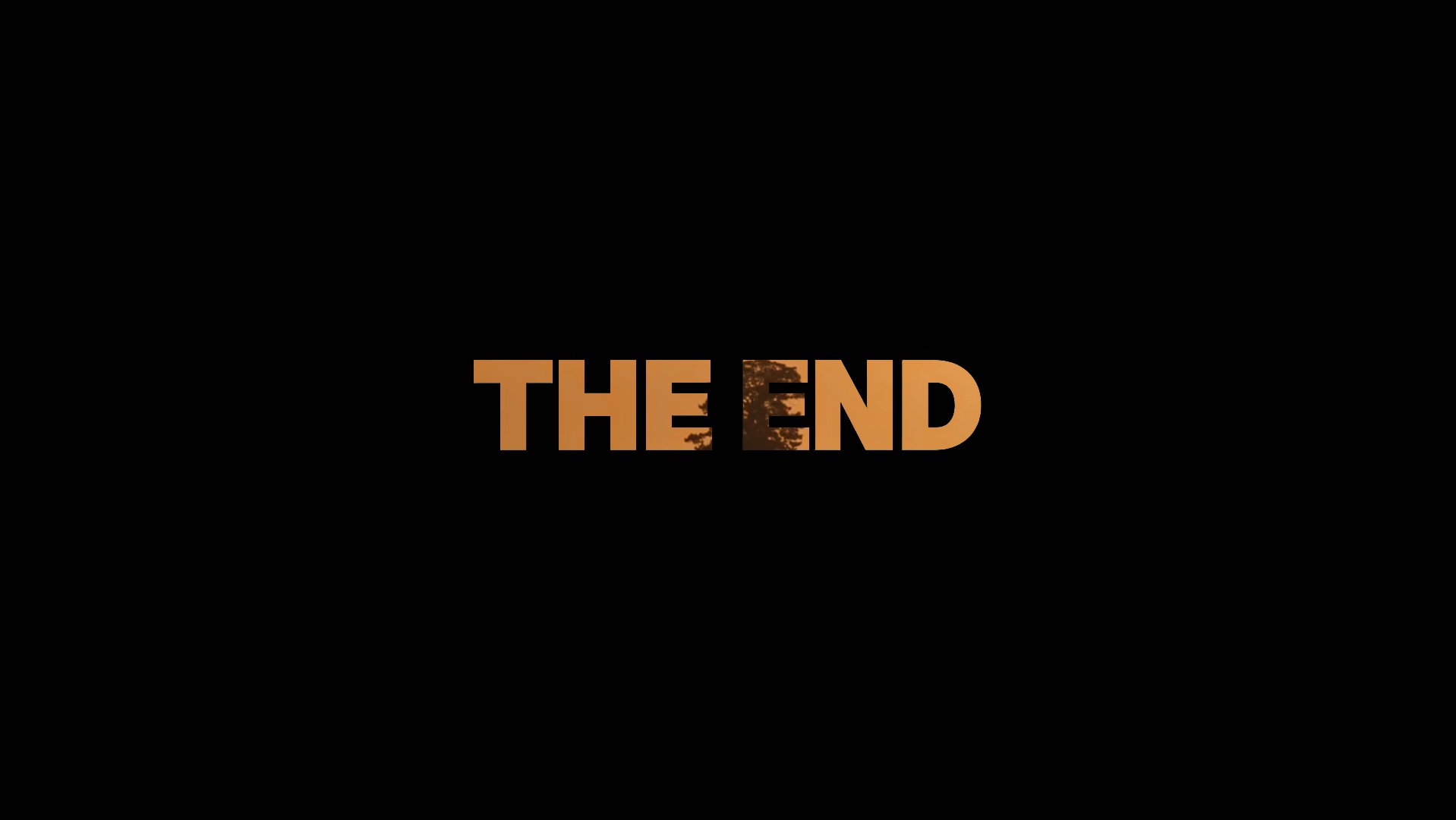 EL FINAL DE LA PELÍCULA