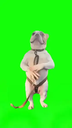Imma Bite You