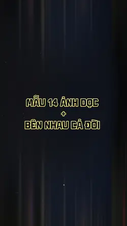 Mẫu 14 ảnh dọc