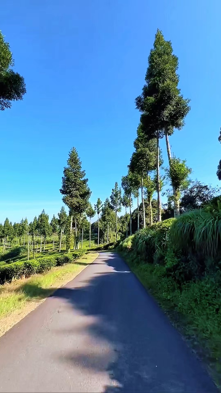 5 videos de viaje por carretera