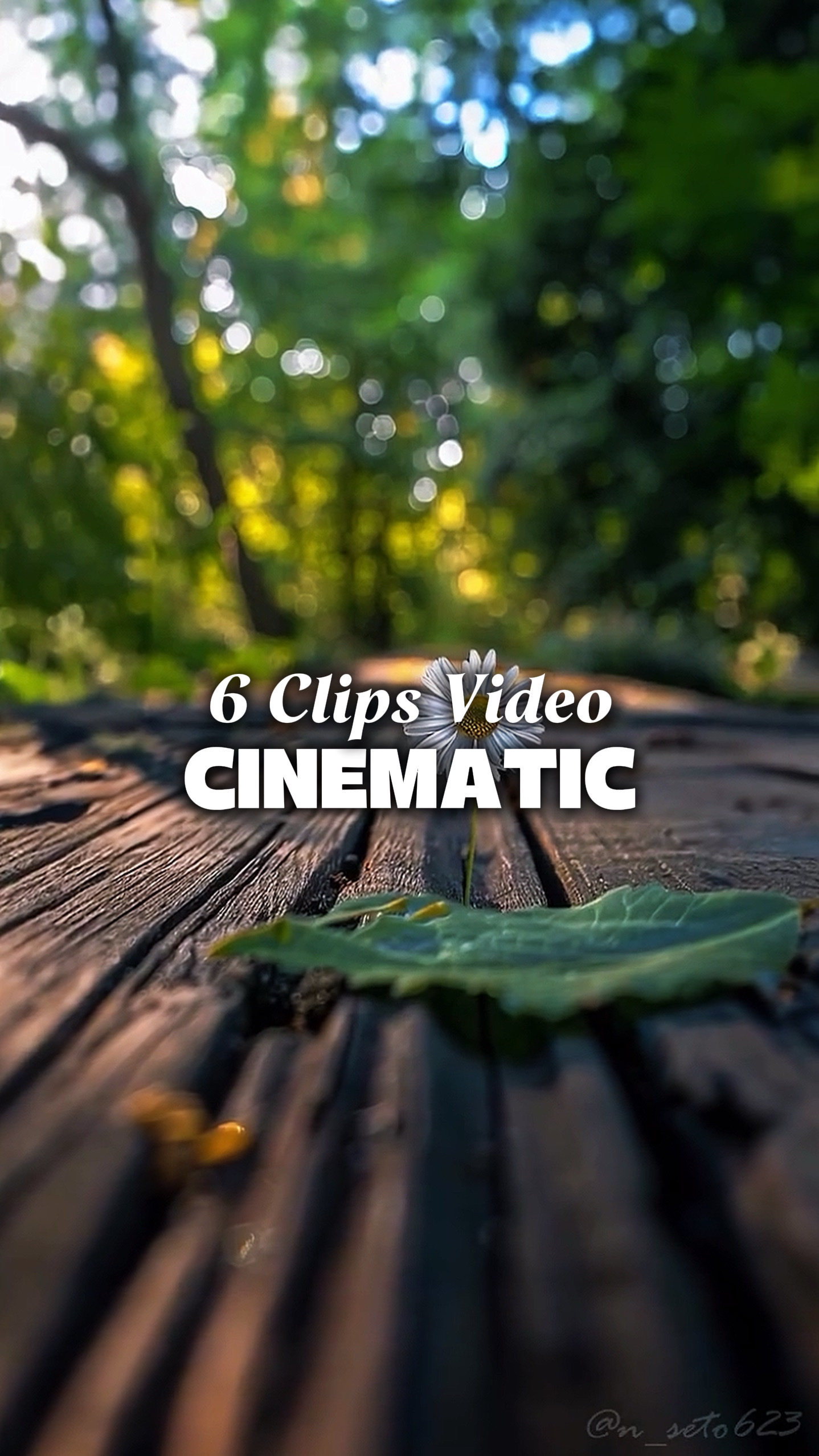 6 vidéos cinématiques 