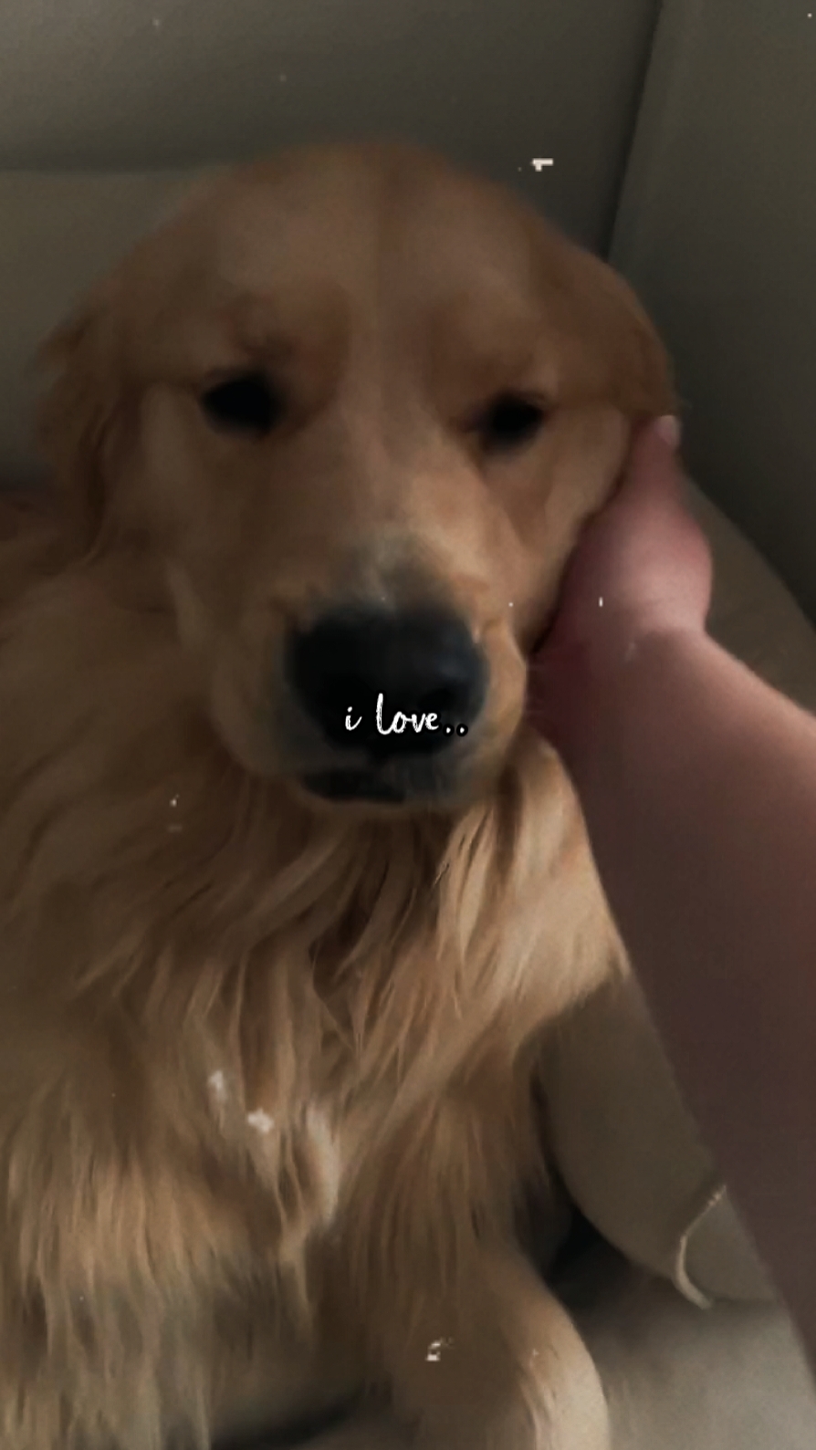 i love 