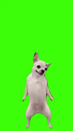 Dog/Cachorro.