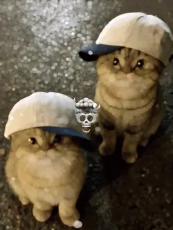 Ff lover bro &me