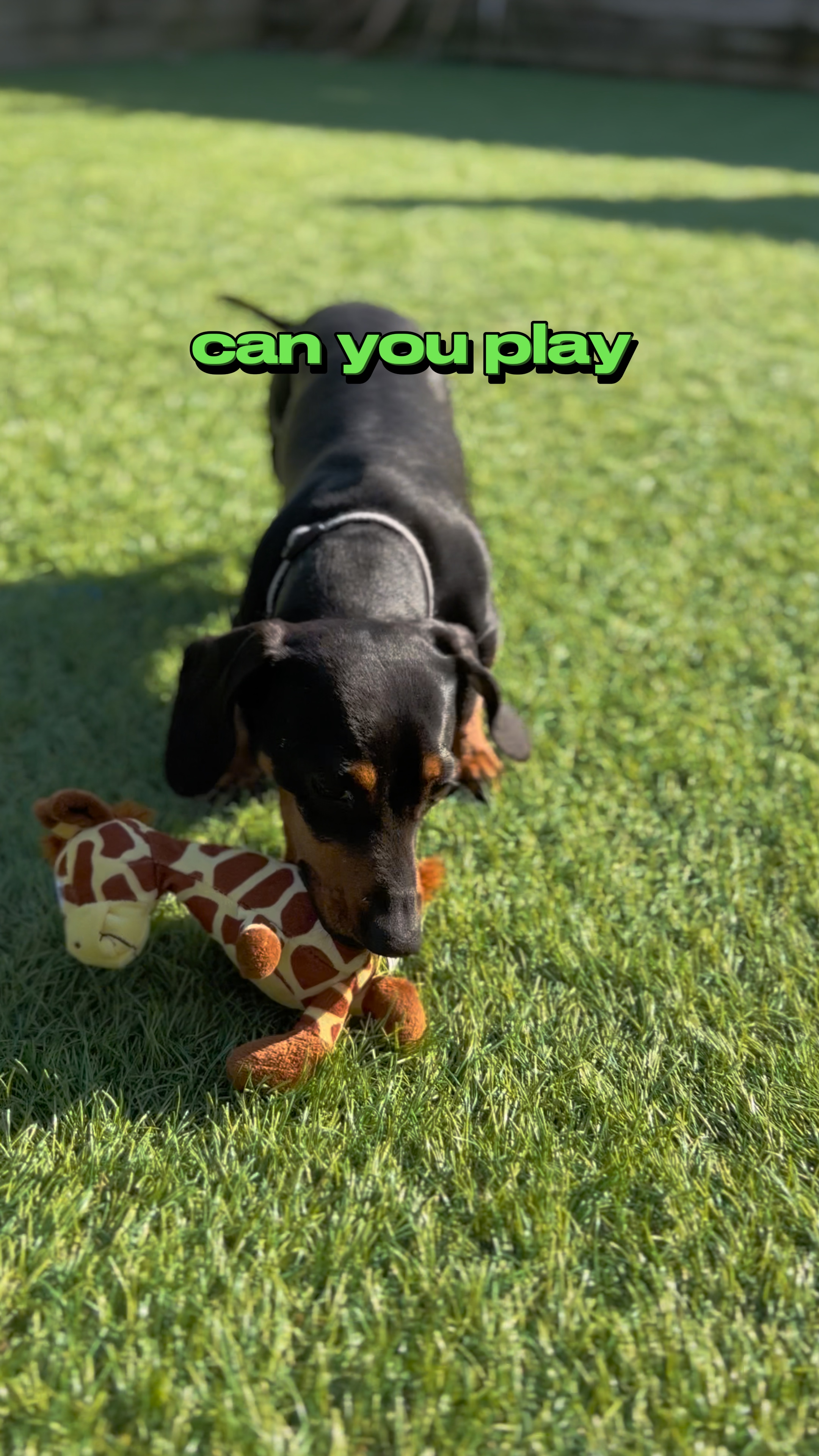 Spiel mit mir