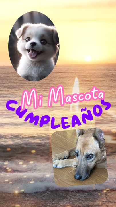 Cumpleaños Mascota