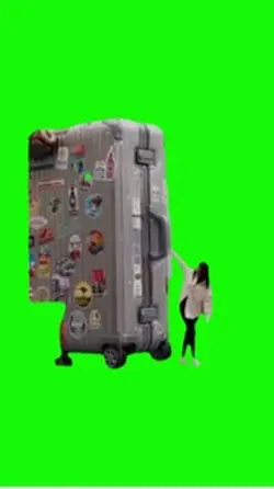 Big Luggage