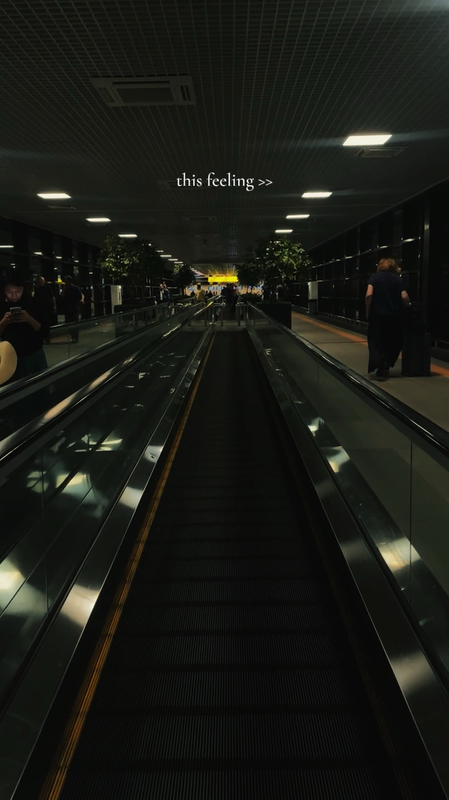 This feeling ✈️