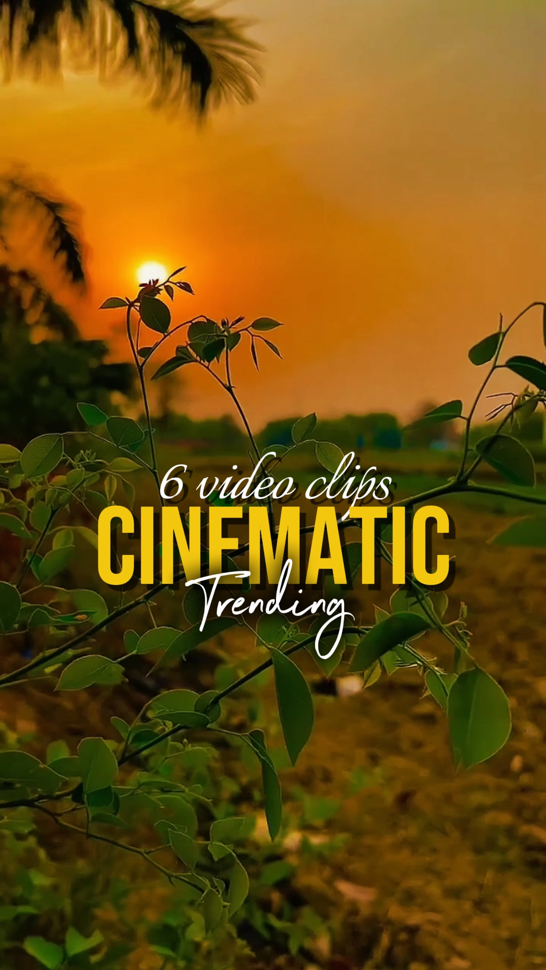 TENDÊNCIA CINEMÁTICA
