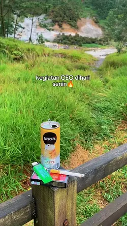 Kegiatan CEO 