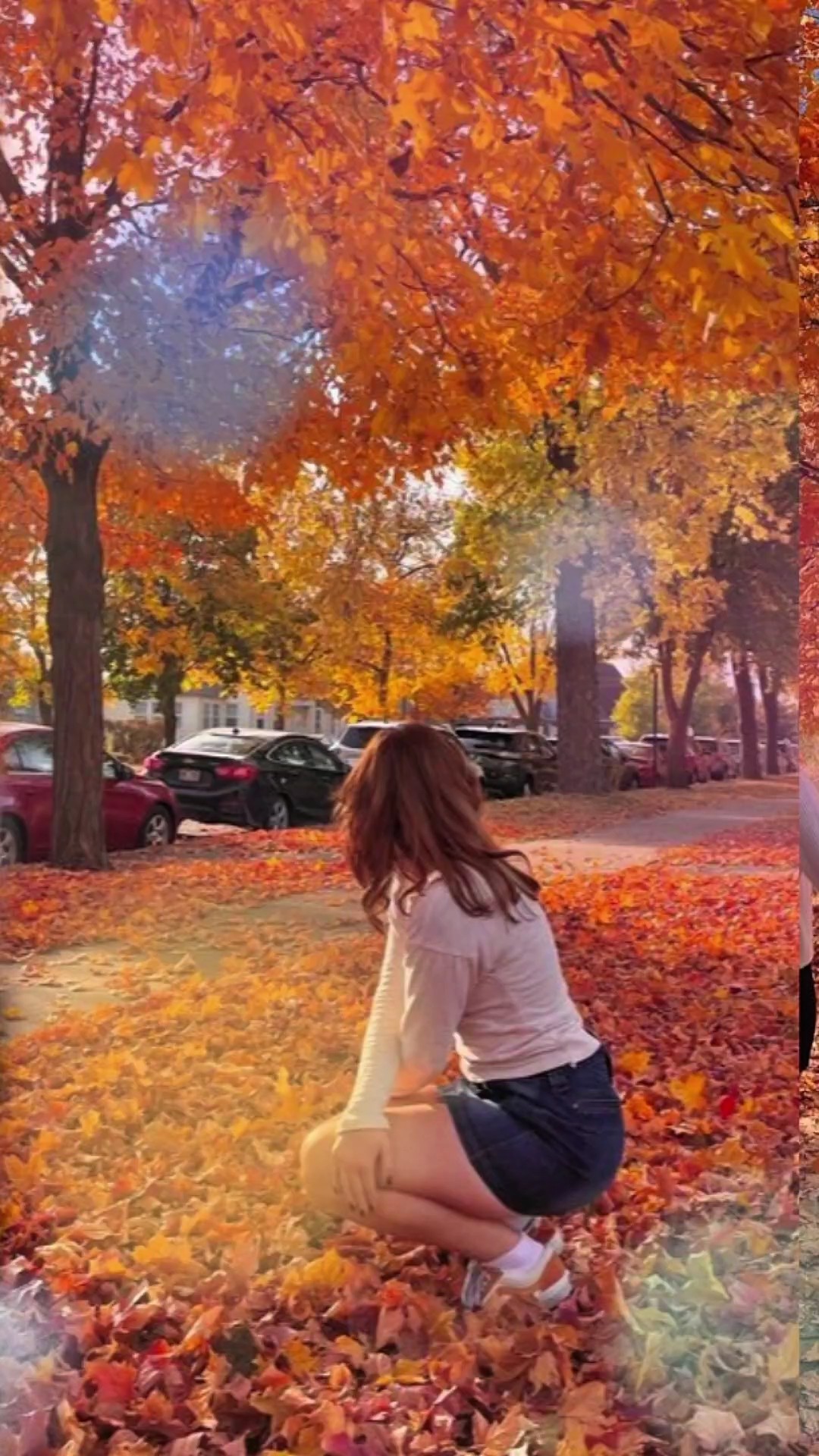 Autumn template