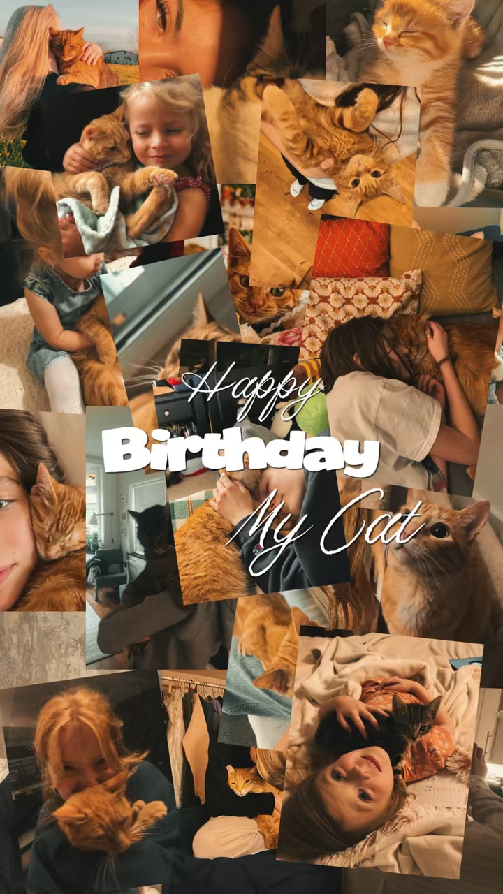 Birthday My Cat