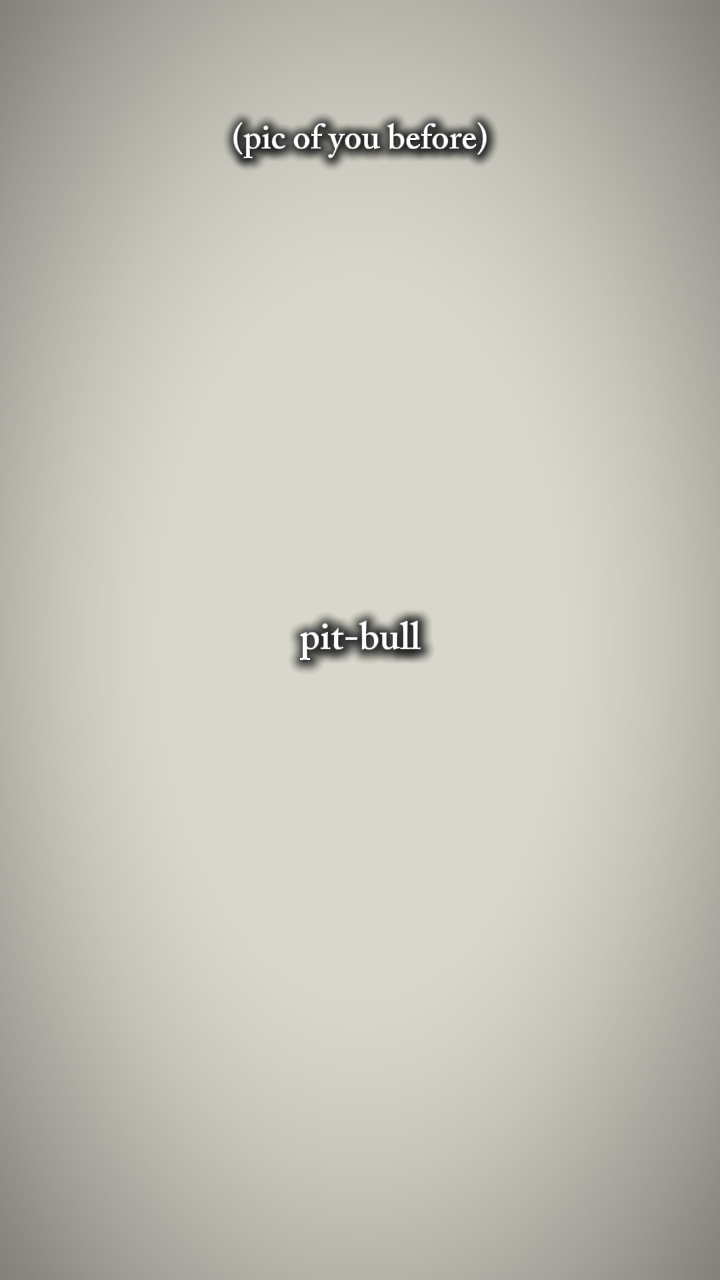 Pit-bull