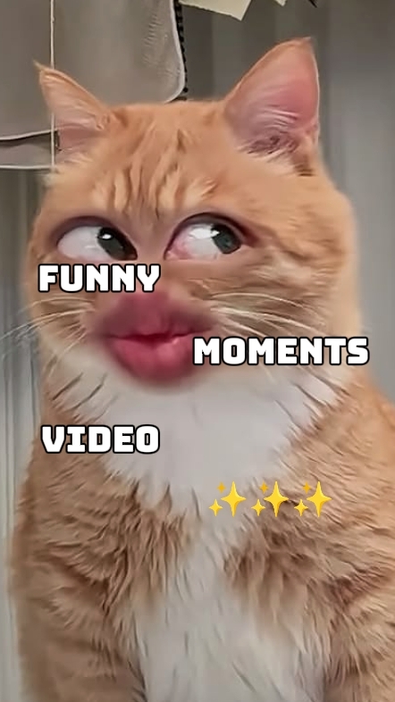 MOMENTOS DIVERTIDOS