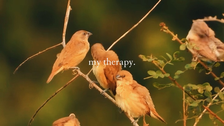 My nature therapy 