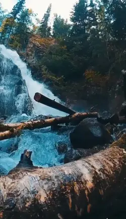 minivlog