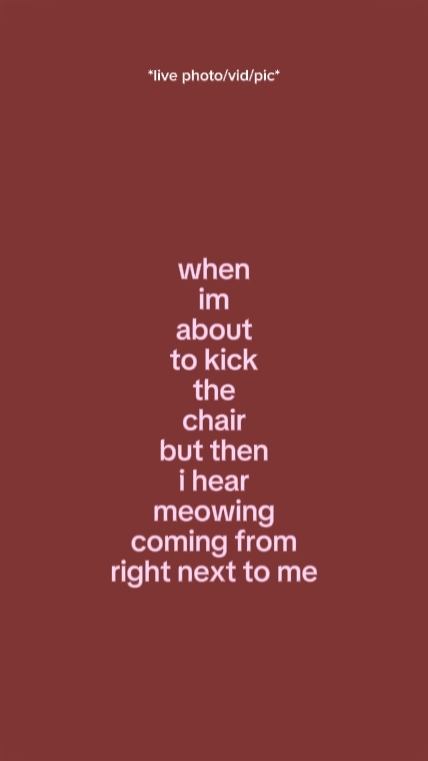whenimabouttokickthe