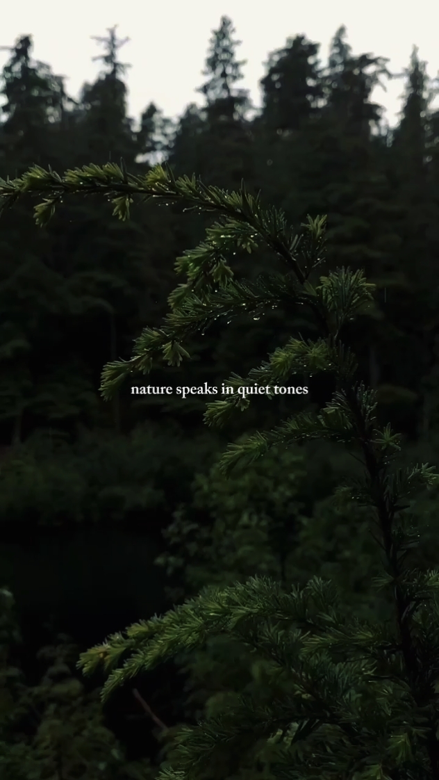 Thérapie de la nature
