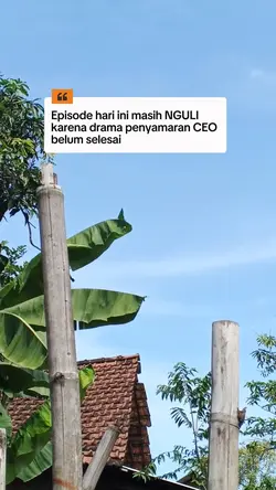 drama ceo