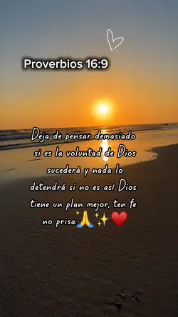 Levanta las manos 🙌