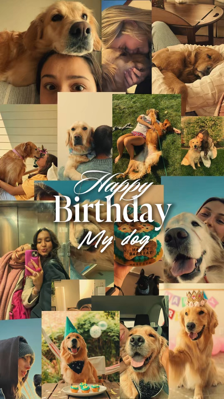 Geburtstag mein Hund
