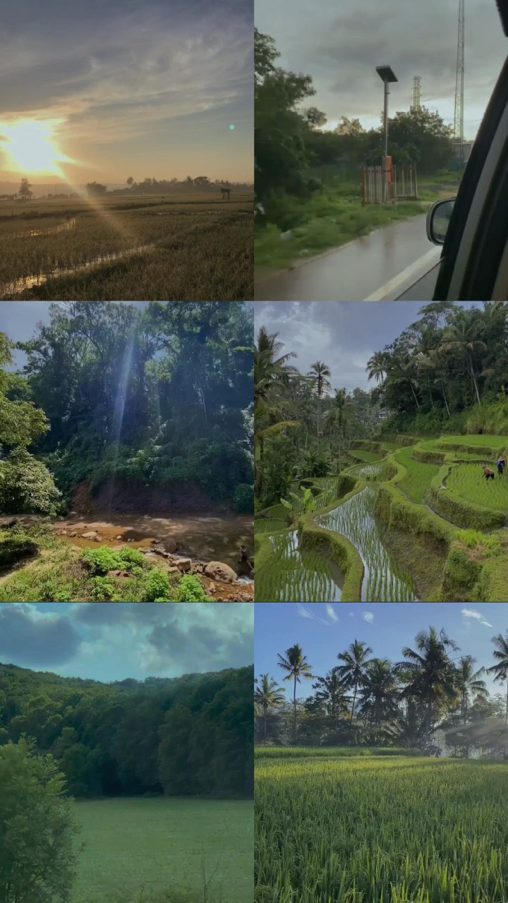 nature trip