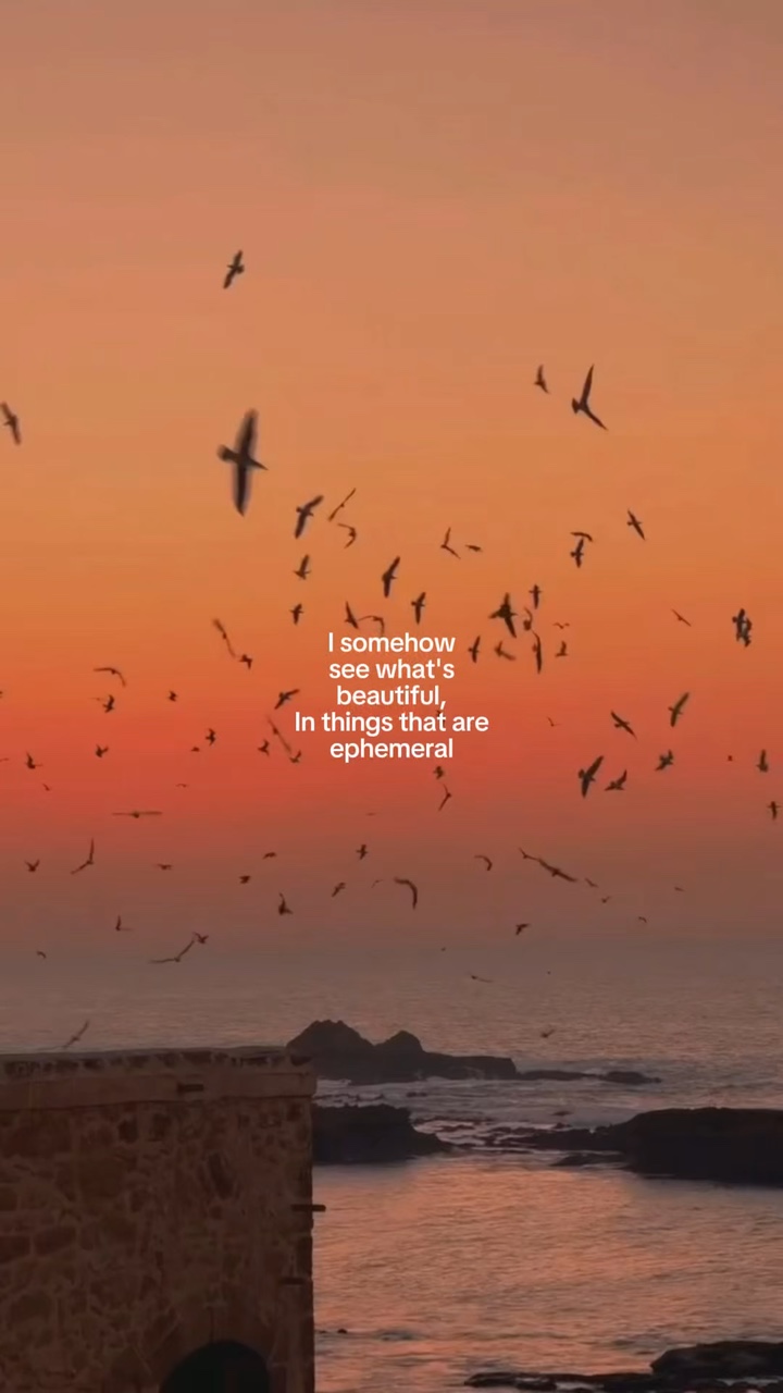 see what's beautiful
