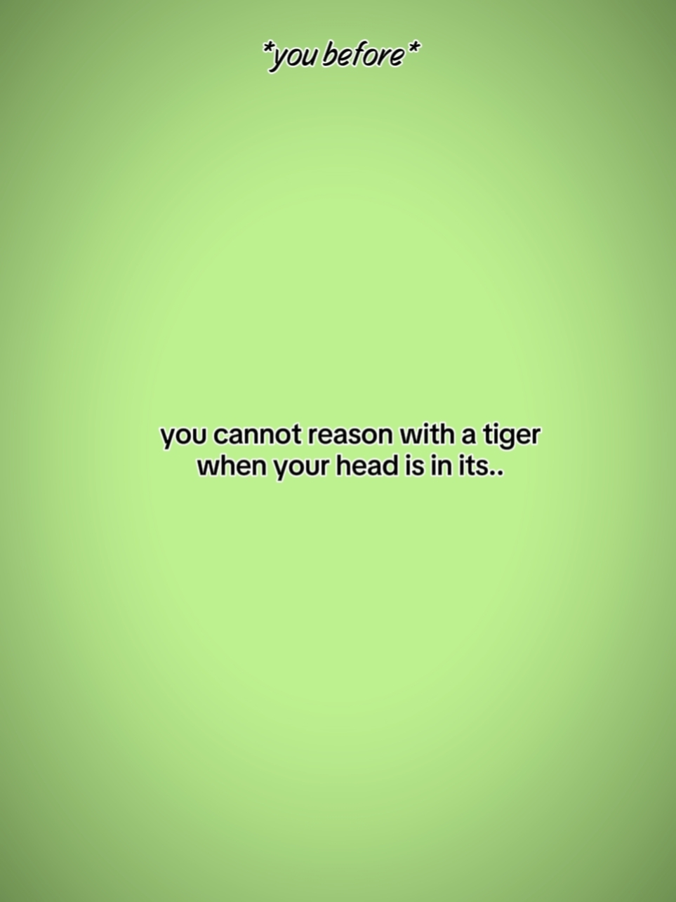 tiger :333
