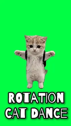 ROTATION CAT DANCE