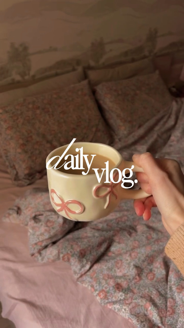 VLOG DIARIO 