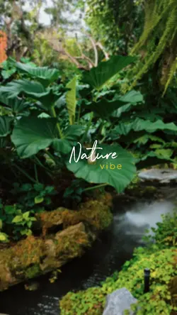 nature