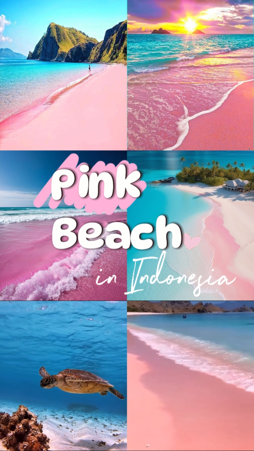 Plage rose