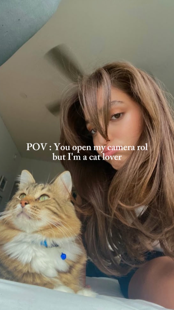 Pov : I'm aCat lover