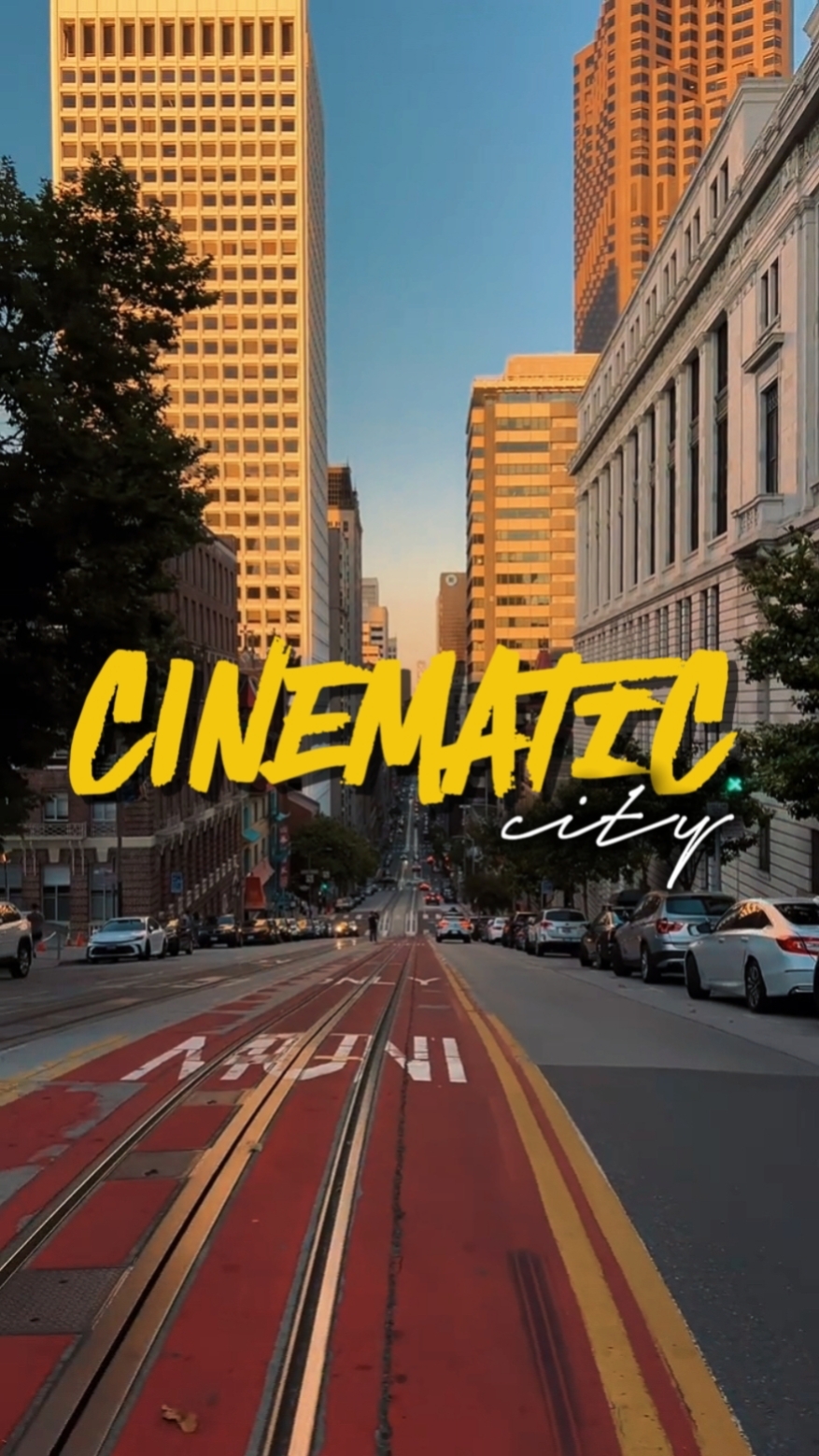 CINEMATIC CITY 