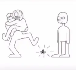 Spider