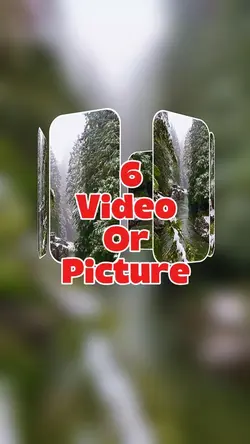 6 video or picture