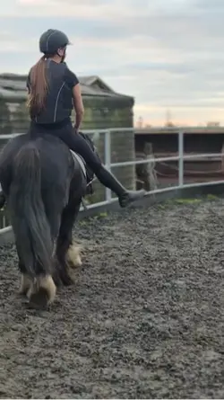 that pony you trust