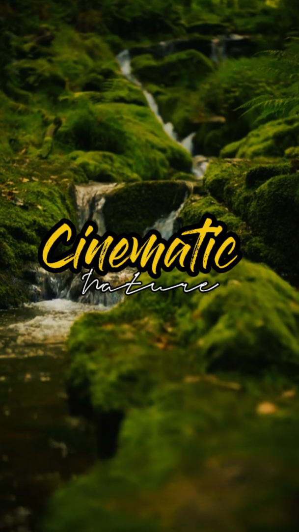 cinematic nature 