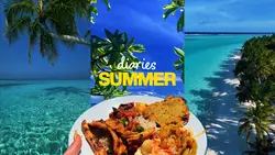 Summer Diaries