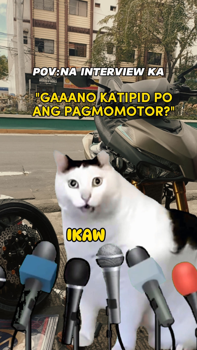 Cat Interview