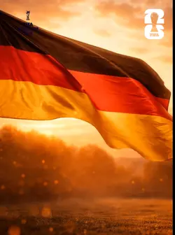 DfB TEAM