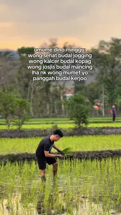 bahan sw