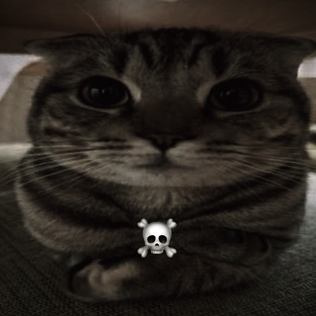 💀💀💀funk edit
