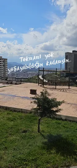 hayat