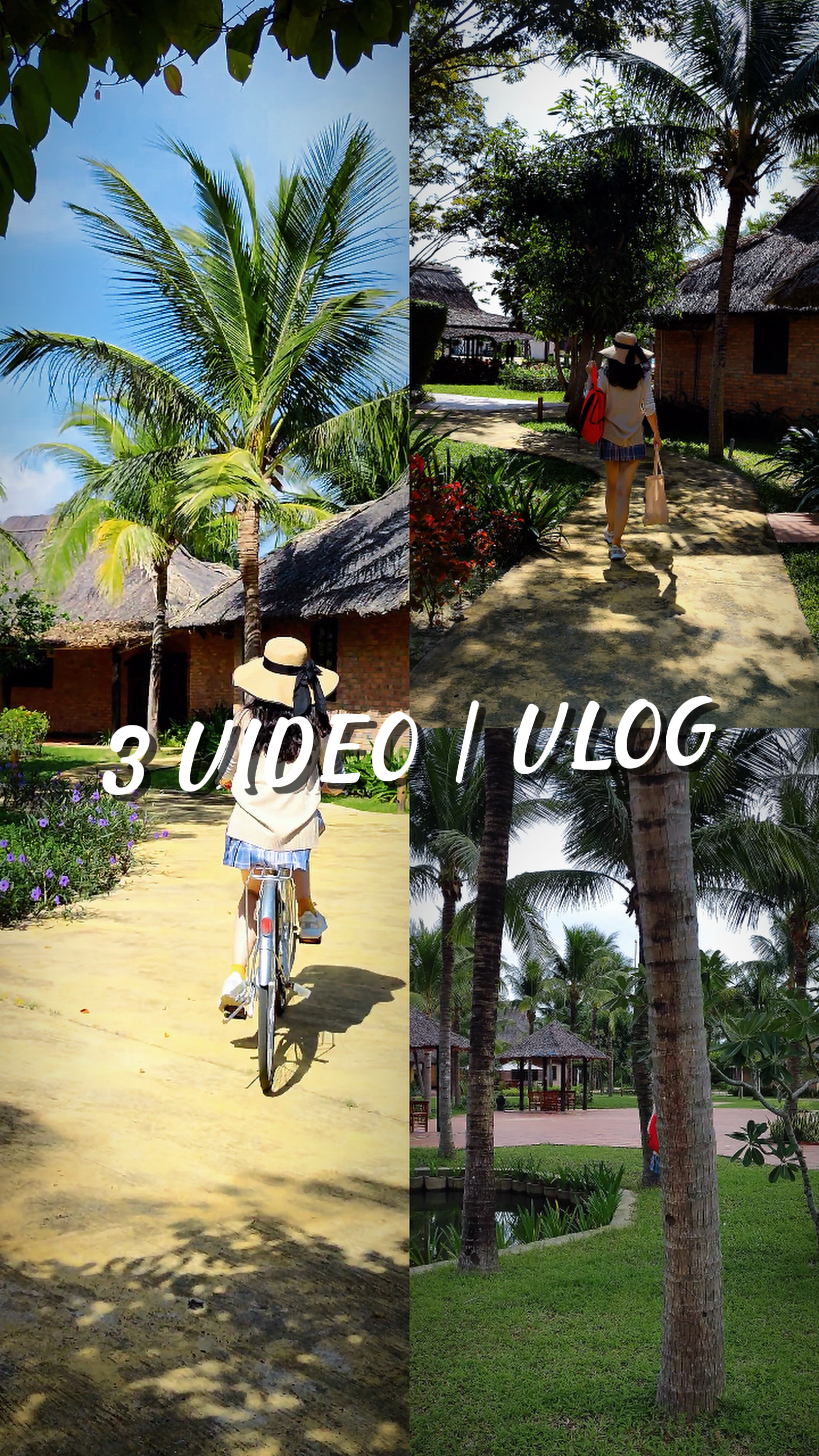 3 VIDEO | VLOG