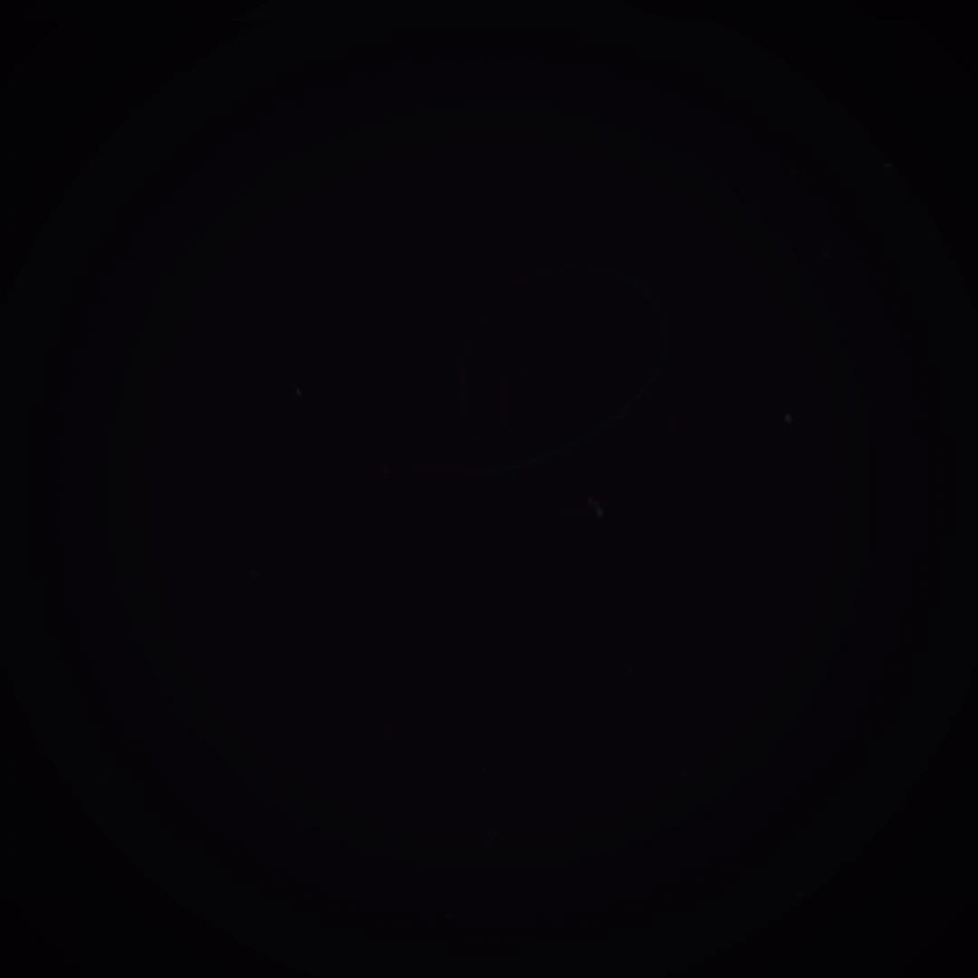 Trending Df Edit