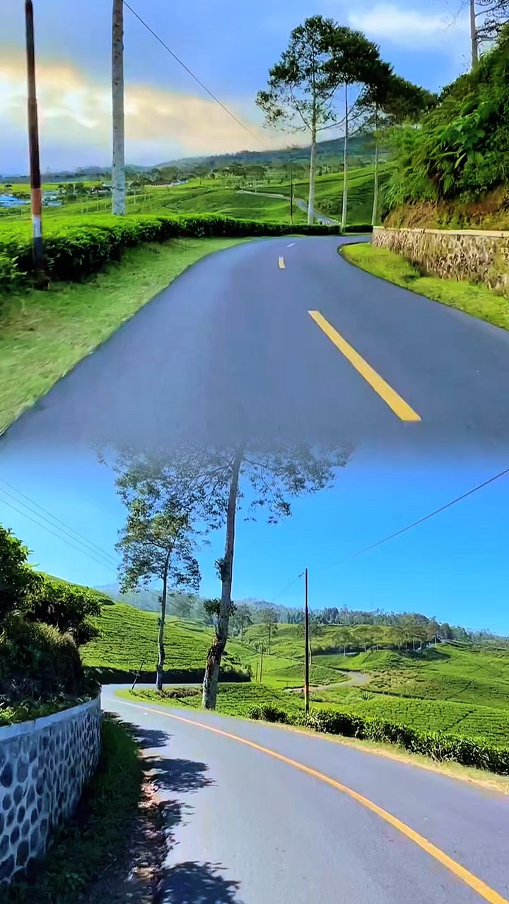 collage video 