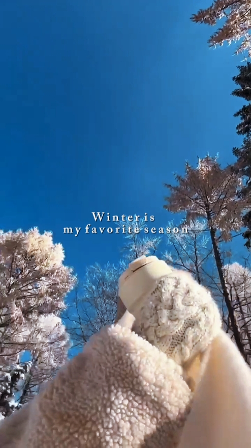 Temporada de invierno