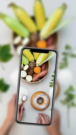 Vibrant Traditional Food Reel