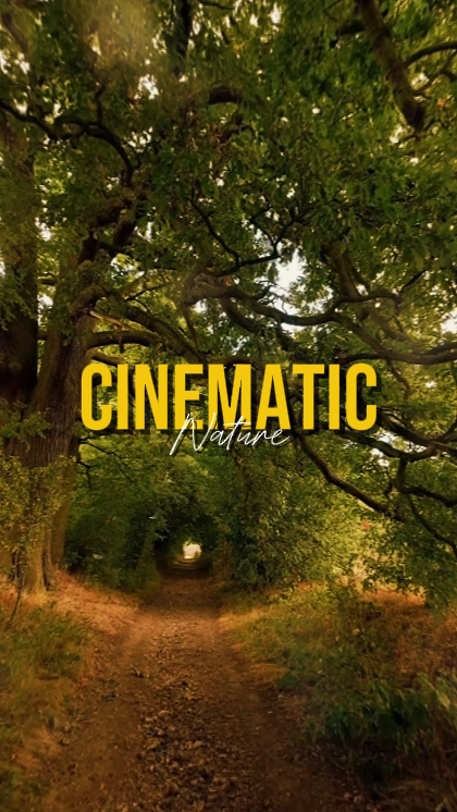 CINEMATIC NATURE